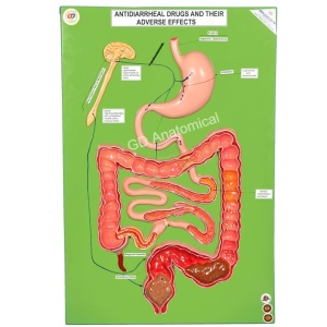 Antidiarrheal Drugs And Their Adverse Effects