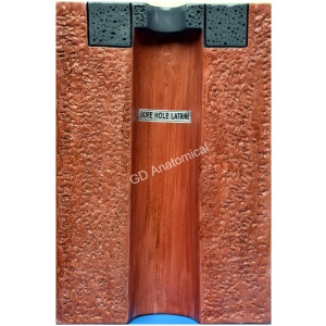 Bore Hole Latrine Model