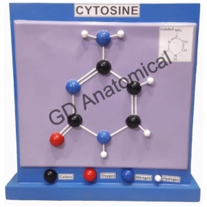 CYTOSINE