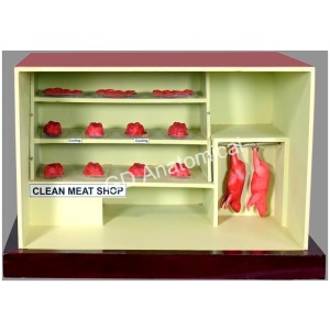 Clean Meat Shop Model