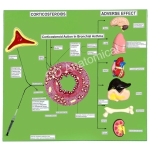 Corticosteroids - Adverse Effect