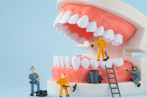 Dental Models