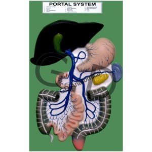 Portal System
