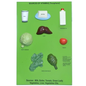 Sources Of Vitamin E (Tocopherol)