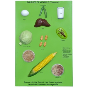 Sources of Vitamin B (Thiamine)