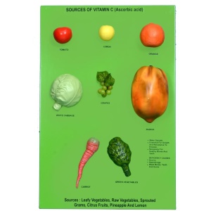 Sources of Vitamin C (Ascorbic Acid)