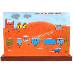 Underground Sewage System Model